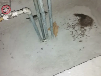 惠济卫生间测漏水价格明细