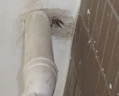 惠济漏水检测哪家好